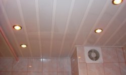 Потолок в туалете и ванной из пластиковых панелей и демонтаж своими руками