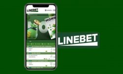 Киберспорт в Linebet: ставки на популярные турниры и команды, и где скачать Linebet apk